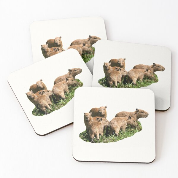 Item preview, 7th Eating Little Baby Snarky Chilling Single Capybara Stickers Package. Funny Capybaras For Every Capybara Lover Or Other Rodent Owner! - Cute designed and sold by AnimalStickers-.