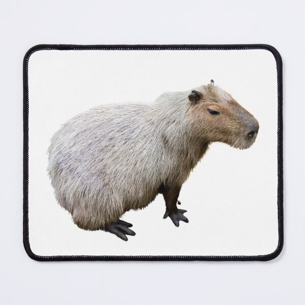 Item preview, 6th Grey Sad Nostalgic Single Capybara Stickers Package. Funny Capybaras For Every Capybara Lover Or Other Rodent Owner! - Cute designed and sold by AnimalStickers-.