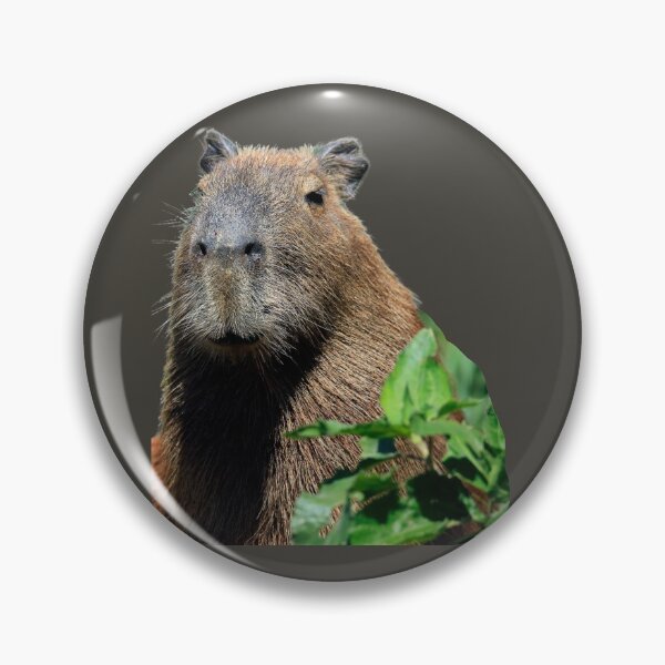 Item preview, 3rd Happy And Snarky Behind Leaves Capybara Stickers Package. Funny Capybaras For Every Capybara Lover Or Other Rodent Owner! - Cute  designed and sold by AnimalStickers-.
