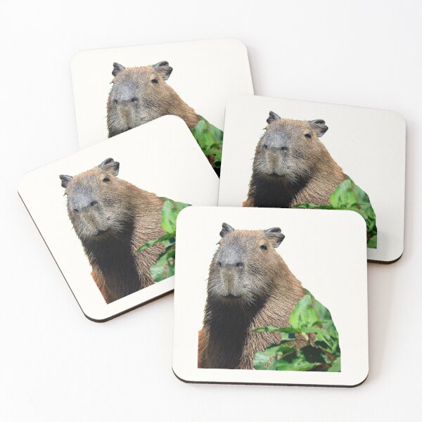 Item preview, 3rd Happy And Snarky Behind Leaves Capybara Stickers Package. Funny Capybaras For Every Capybara Lover Or Other Rodent Owner! - Cute  designed and sold by AnimalStickers-.