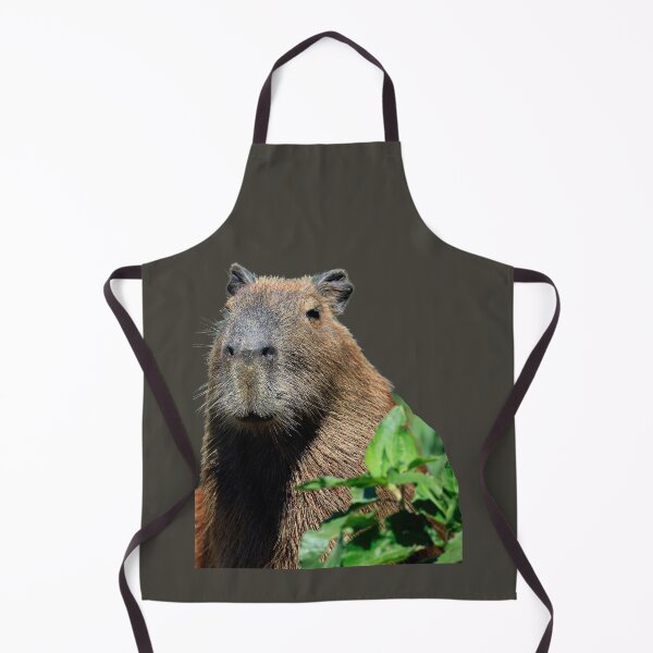 Item preview, 3rd Happy And Snarky Behind Leaves Capybara Stickers Package. Funny Capybaras For Every Capybara Lover Or Other Rodent Owner! - Cute designed and sold by AnimalStickers-.