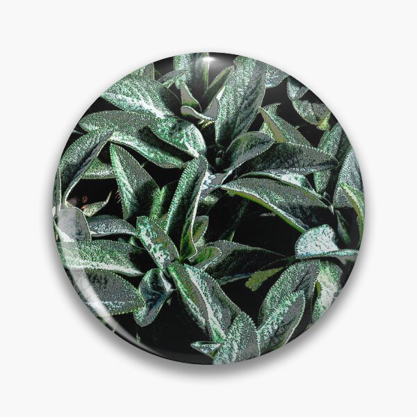 Item preview, A Beautiful Flower on the Grounds of San Miguel Church, Socorro, New Mexico designed and sold by William E Lopez.