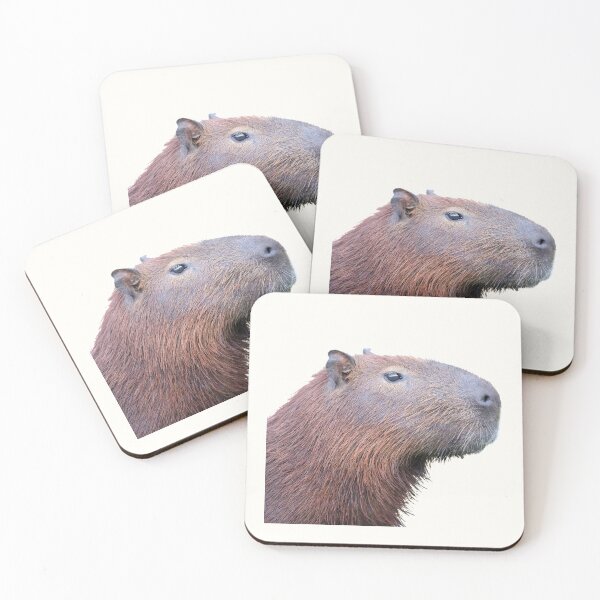 Item preview, 1st Head Capybara Surprised Capybara Stickers Package. Funny Capybaras For Every Capybara Lover Or Other Rodent Owner! - Cute  designed and sold by AnimalStickers-.