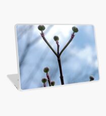 "Friends Gather 'Round" Laptop Skin
