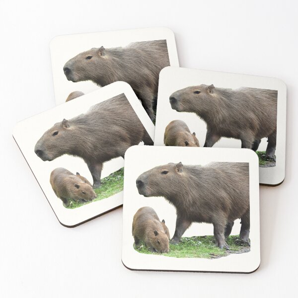 Item preview, 1st Little Capy With Mother Capybara Stickers Package. Funny Capybaras For Every Capybara Lover Or Other Rodent Owner! - Cute  designed and sold by AnimalStickers-.