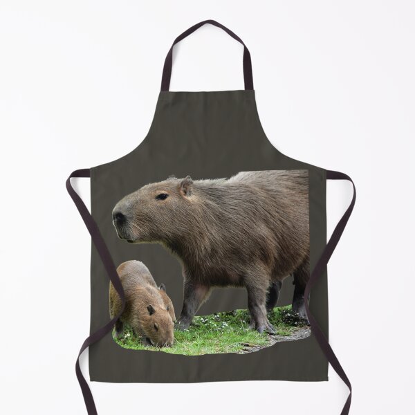 Item preview, 1st Little Capy With Mother Capybara Stickers Package. Funny Capybaras For Every Capybara Lover Or Other Rodent Owner! - Cute designed and sold by AnimalStickers-.