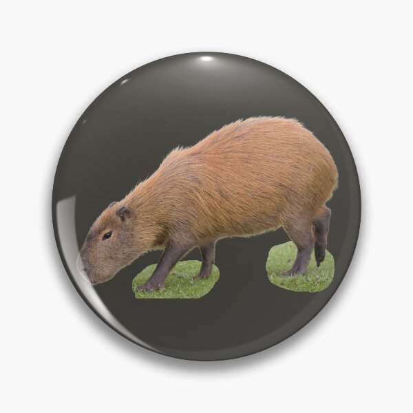 Item preview, 5th Little Eating Focused Single Capybara Stickers Package. Funny Capybaras For Every Capybara Lover Or Other Rodent Owner! - Cute  designed and sold by AnimalStickers-.
