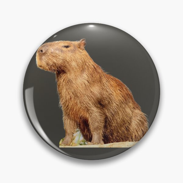 Item preview, 7th Majestic Snarky Shiny Wet Single Capybara Stickers Package. Funny Capybaras For Every Capybara Lover Or Other Rodent Owner! - Cute  designed and sold by AnimalStickers-.