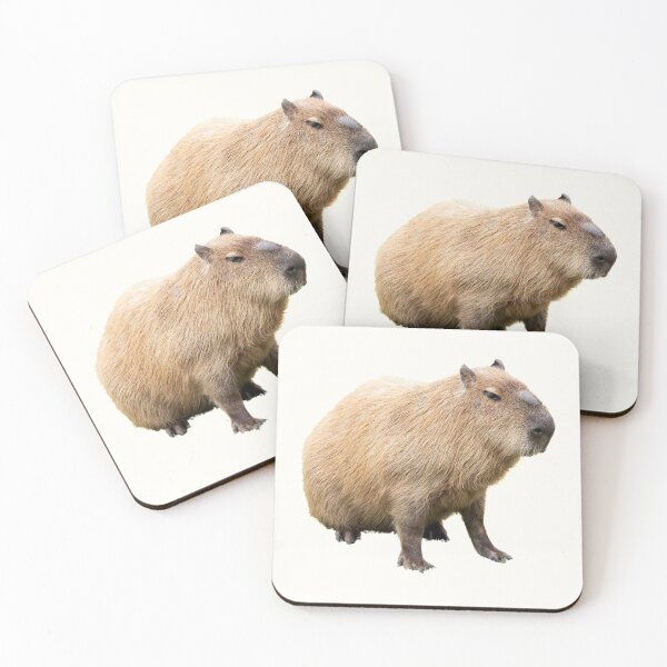 Item preview, 1st Sad Or Angry Capybara Stickers Package. Funny Capybaras For Every Capybara Lover Or Other Rodent Owner! - Cute  designed and sold by AnimalStickers-.