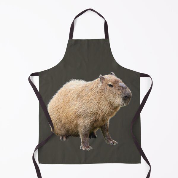 Item preview, 1st Sad Or Angry Capybara Stickers Package. Funny Capybaras For Every Capybara Lover Or Other Rodent Owner! - Cute designed and sold by AnimalStickers-.