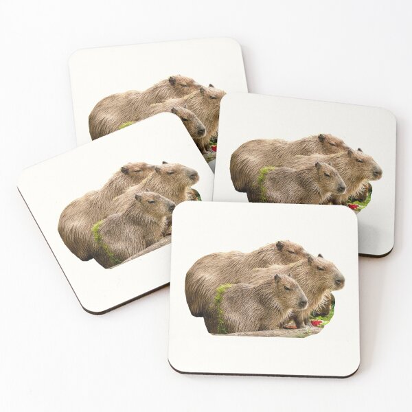 Item preview, 3rd Sad Or Angry Family Baby Little Capybara Stickers Package. Funny Capybaras For Every Capybara Lover Or Other Rodent Owner! - Cute  designed and sold by AnimalStickers-.