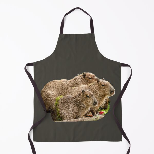 Item preview, 3rd Sad Or Angry Family Baby Little Capybara Stickers Package. Funny Capybaras For Every Capybara Lover Or Other Rodent Owner! - Cute designed and sold by AnimalStickers-.
