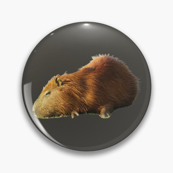Item preview, 6th Sad Sleepy Single Capybara Stickers Package. Funny Capybaras For Every Capybara Lover Or Other Rodent Owner! - Cute  designed and sold by AnimalStickers-.