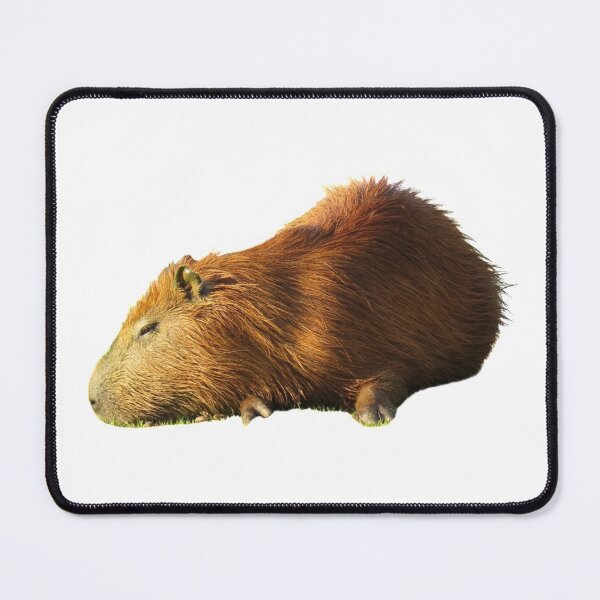 Item preview, 6th Sad Sleepy Single Capybara Stickers Package. Funny Capybaras For Every Capybara Lover Or Other Rodent Owner! - Cute designed and sold by AnimalStickers-.