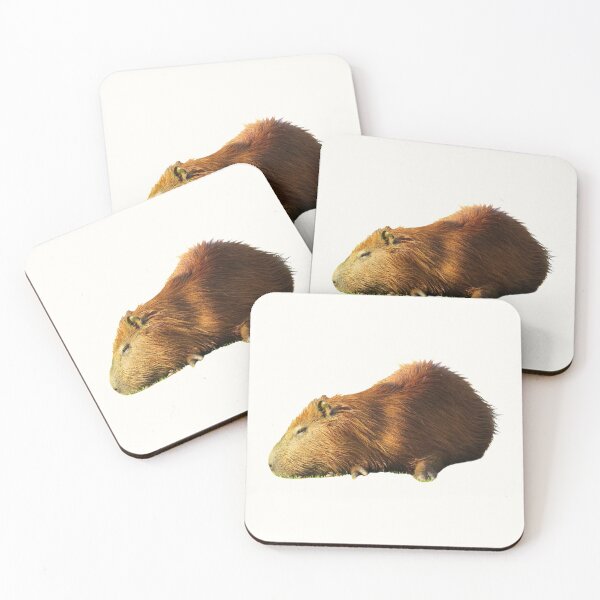 Item preview, 6th Sad Sleepy Single Capybara Stickers Package. Funny Capybaras For Every Capybara Lover Or Other Rodent Owner! - Cute  designed and sold by AnimalStickers-.