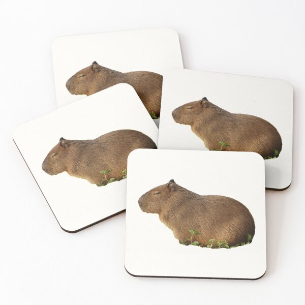 Item preview, 4th Sleepy Little  Suspicious Single Capybara Stickers Package. Funny Capybaras For Every Capybara Lover Or Other Rodent Owner! - Cute  designed and sold by AnimalStickers-.