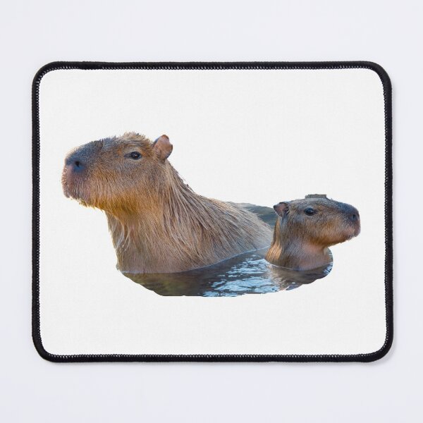 Item preview, 2nd Swimming Young And Old Majestic Capybara Stickers Package. Funny Capybaras For Every Capybara Lover Or Other Rodent Owner! - Cute designed and sold by AnimalStickers-.