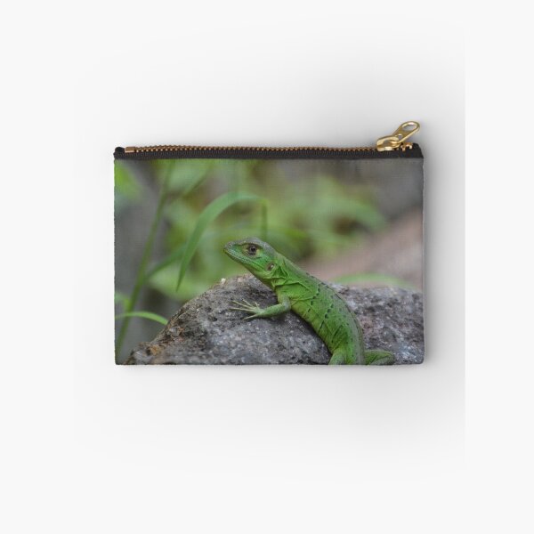 Item preview, Here's A Green Lizard designed and sold by Sauropod8.