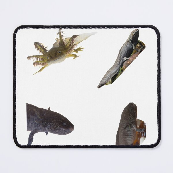 Item preview, 1st Black Axolotl Stickers Package. Funny, Adorable And Cute Axolotls Pets For Every Mexican Salamaner Lover Or Axolotls Owner! - Cute  designed and sold by AnimalStickers-.