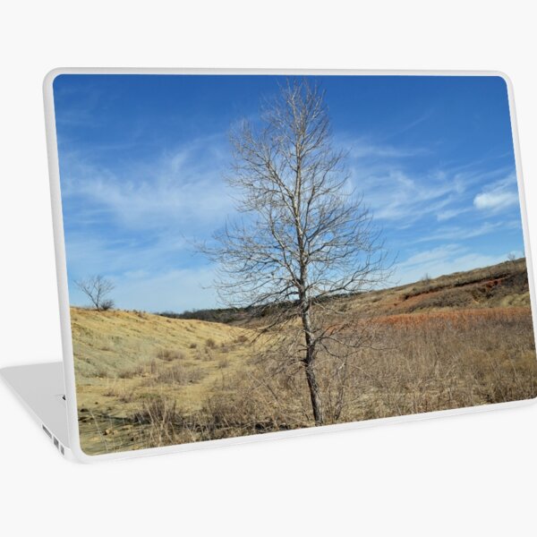 Fossil Park Laptop Skin
