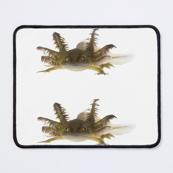 Item preview, 1st Black Smiling Axolotl Stickers Package. Funny, Adorable And Cute Axolotls Pets For Every Mexican Salamaner Lover Or Axolotls Owner! - Cute  designed and sold by AnimalStickers-.