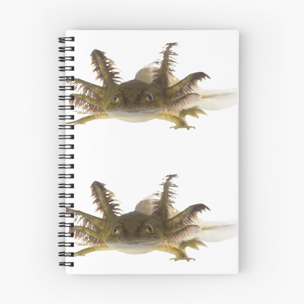Item preview, 1st Black Smiling Axolotl Stickers Package. Funny, Adorable And Cute Axolotls Pets For Every Mexican Salamaner Lover Or Axolotls Owner! - Cute  designed and sold by AnimalStickers-.