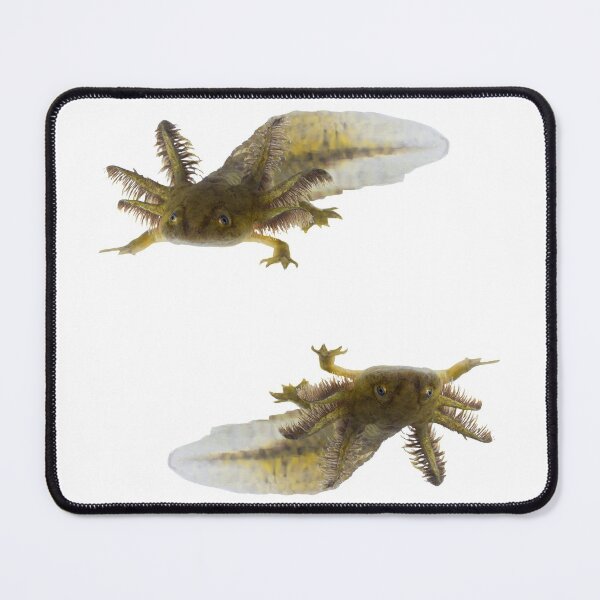 Item preview, 1st Black Snarky Axolotl Stickers Package. Funny, Adorable And Cute Axolotls Pets For Every Mexican Salamaner Lover Or Axolotls Owner! - Cute  designed and sold by AnimalStickers-.