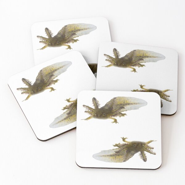 Item preview, 1st Black Snarky Axolotl Stickers Package. Funny, Adorable And Cute Axolotls Pets For Every Mexican Salamaner Lover Or Axolotls Owner! - Cute  designed and sold by AnimalStickers-.