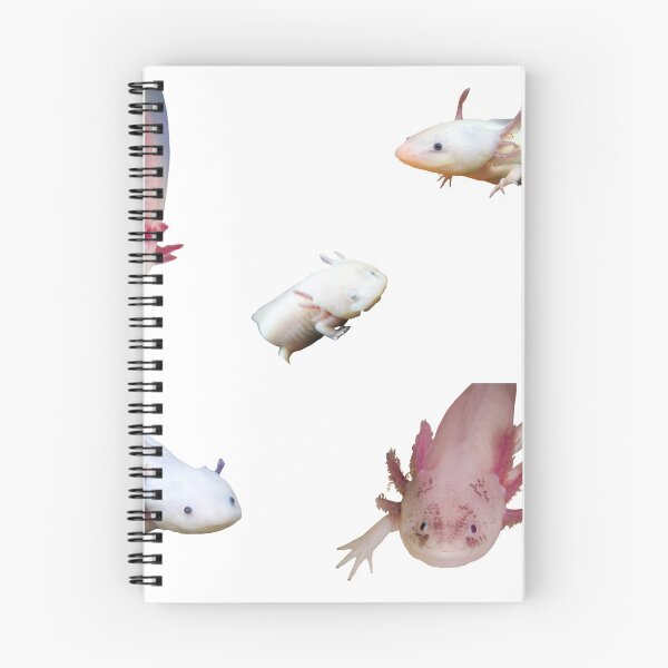 Item preview, 1st Cute Axolotl Stickers Package. Funny, Adorable And Cute Axolotls Pets For Every Mexican Salamaner Lover Or Axolotls Owner! - Cute  designed and sold by AnimalStickers-.