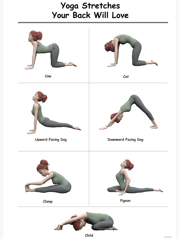 Upgrade Your Yoga Practice (@howtopracticeyoga)-Do you have back pain? Hold  each posture for f… | Lower back pain exercises, Back pain exercises, Easy  yoga workouts
