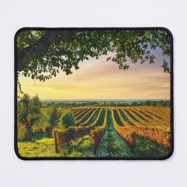 Item preview, Bolgheri vineyards and a tree. Tuscany designed and sold by Stefano Orazzini.