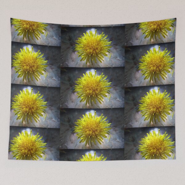 Aperçu de l'œuvre Macro Daisy créée et vendue par Gary Hutchings.