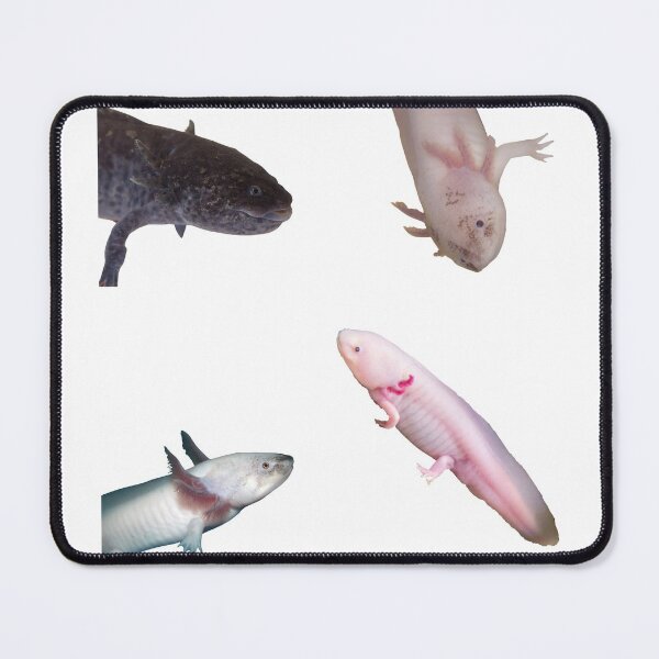 Item preview, 5th Unique Axolotl Stickers Package. Funny, Adorable And Cute Axolotls Pets For Every Mexican Salamaner Lover Or Axolotls Owner! - Cute  designed and sold by AnimalStickers-.
