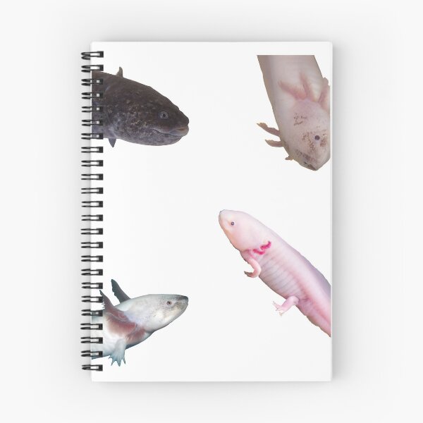 Item preview, 5th Unique Axolotl Stickers Package. Funny, Adorable And Cute Axolotls Pets For Every Mexican Salamaner Lover Or Axolotls Owner! - Cute  designed and sold by AnimalStickers-.