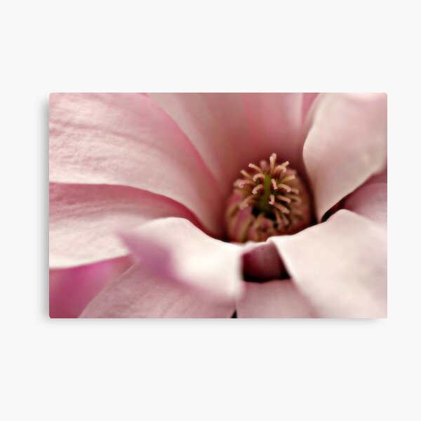 Item preview, Having a look inside designed and sold by Karen Tregoning.
