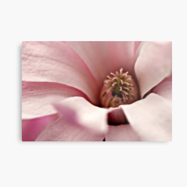 Item preview, Having a look inside designed and sold by Karen Tregoning.