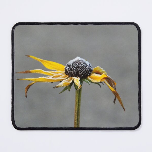 Item preview, Flower in winter designed and sold by jean-nicolas.
