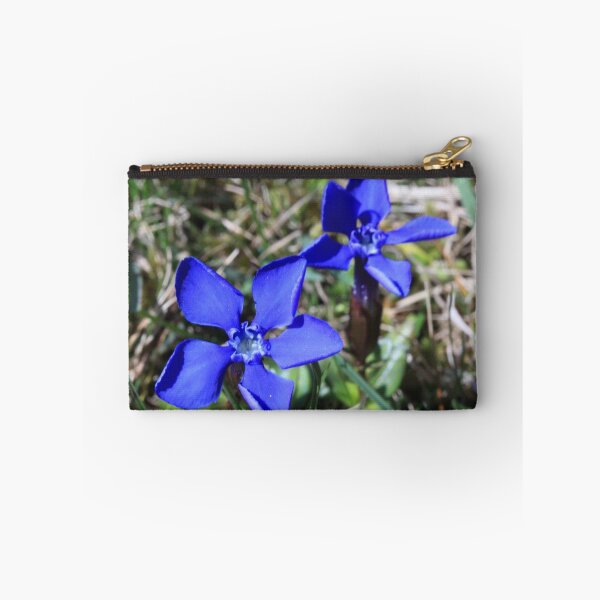 Item preview, Spring Gentian, ( Gentiana Vernia) Upper Teesdale, North England designed and sold by Ian Alex Blease.