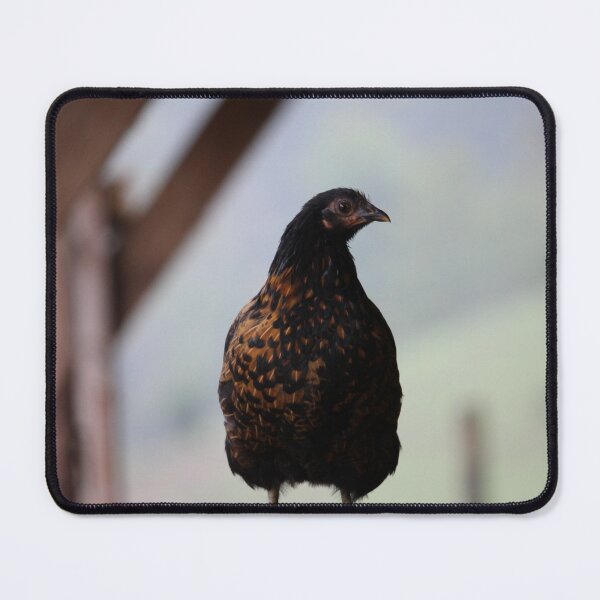 Item preview, Hen designed and sold by jean-nicolas.