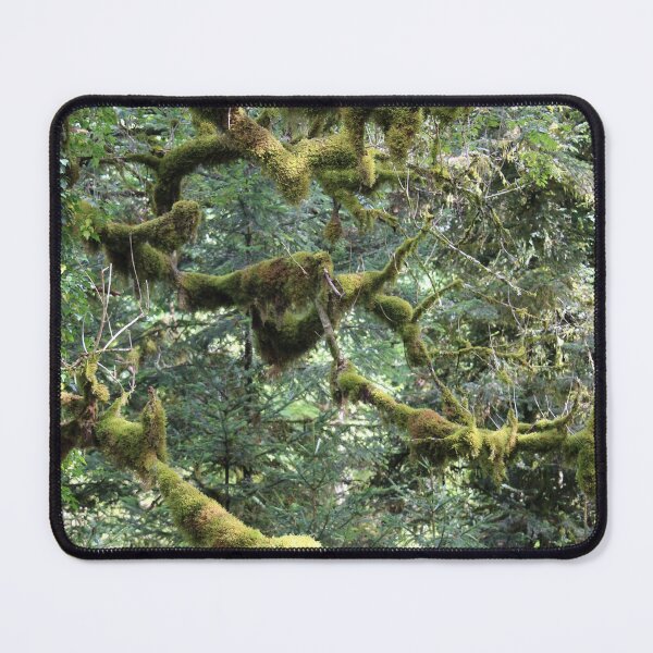 Item preview, Foam designed and sold by jean-nicolas.