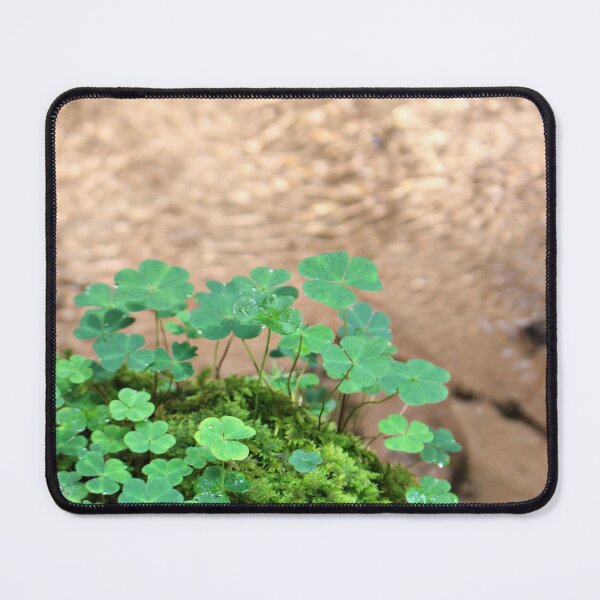 Item preview, Fortunate designed and sold by jean-nicolas.