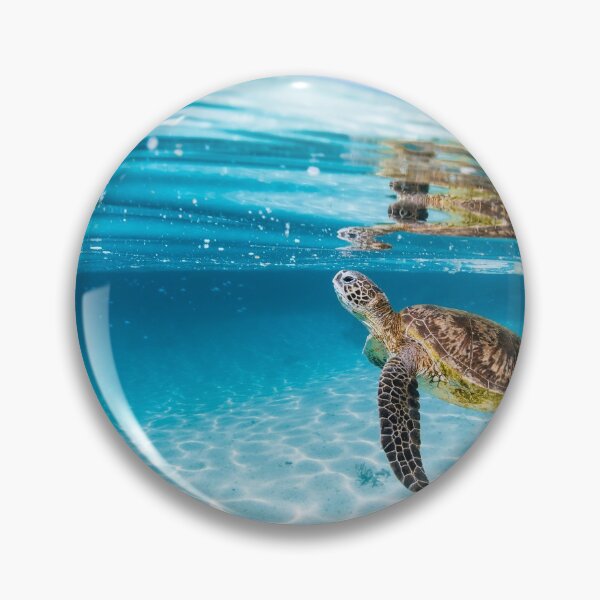 Item preview, Green Sea Turtle  designed and sold by Jesshaddenphoto.