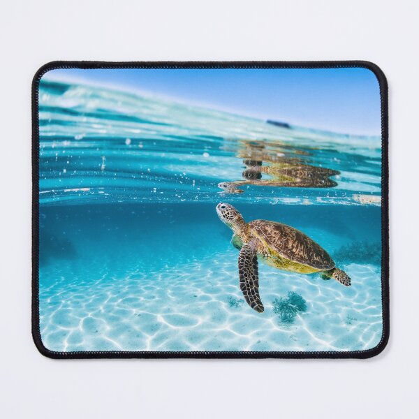 Item preview, Green Sea Turtle designed and sold by Jesshaddenphoto.