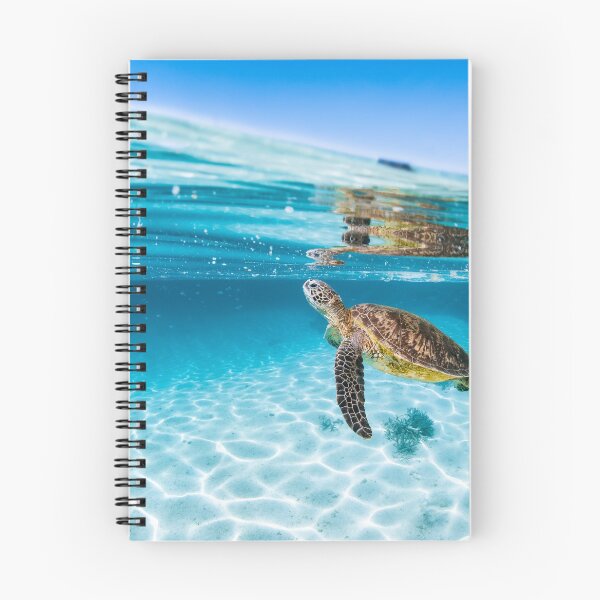 Item preview, Green Sea Turtle  designed and sold by Jesshaddenphoto.