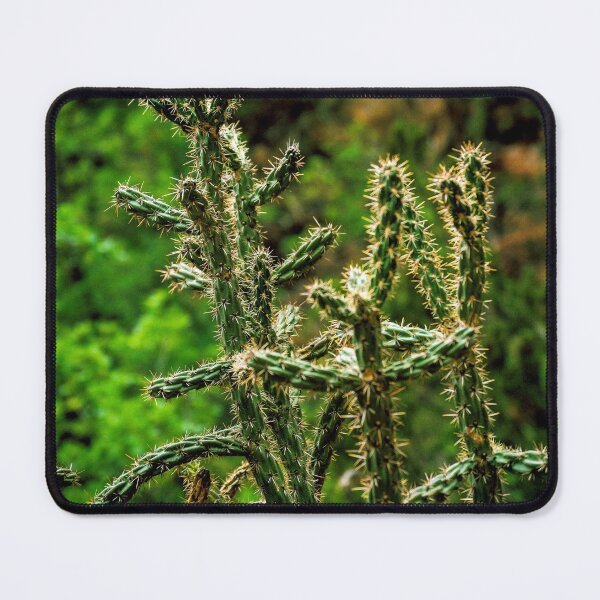 Item preview, Cholla Cactus on the Ghost Ranch designed and sold by William E Lopez.