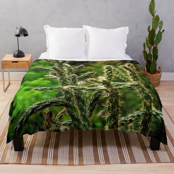 Item preview, Cholla Cactus on the Ghost Ranch designed and sold by William E Lopez.