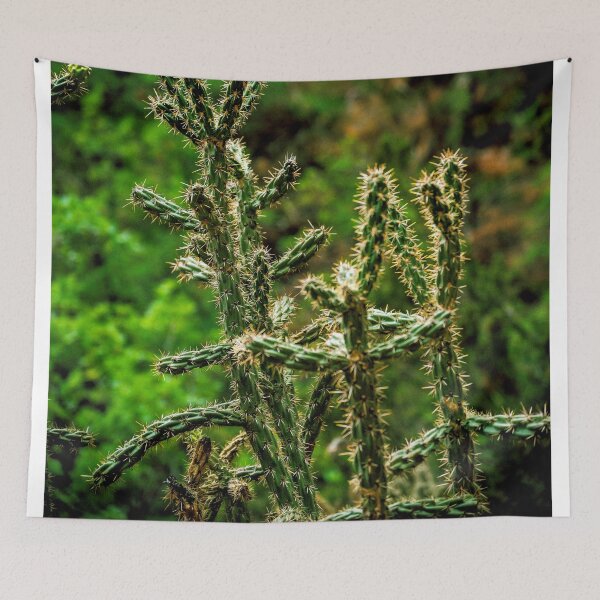 Item preview, Cholla Cactus on the Ghost Ranch designed and sold by William E Lopez.
