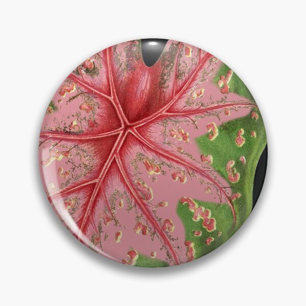 Item preview, Caladium hybrid - botanical illustration designed and sold by chimakingthings.