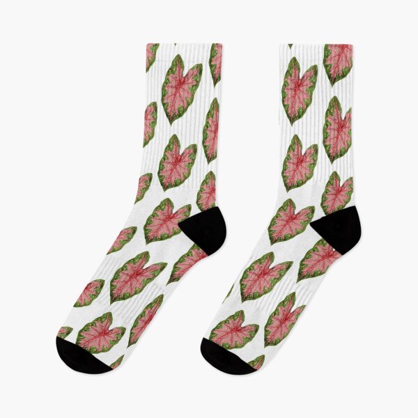 Item preview, Caladium hybrid - botanical illustration designed and sold by chimakingthings.