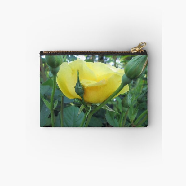 Artikelvorschau, one of many lovely roses entworfen und verkauft von margaret hanks.